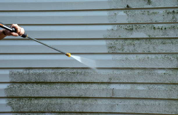Best Gutter Cleaning and Brightening in Sacaton, AZ